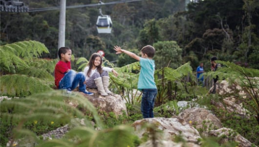 PARQUE ARVÍ, 10 AÑOS TRABAJANDO POR LA SOSTENIBILIDAD