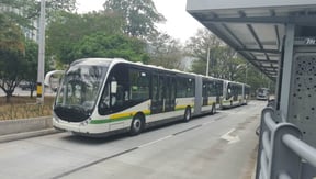 LLEGAN CINCO NUEVOS ARTICULADOS A LA LÍNEA 1 DE BUSES